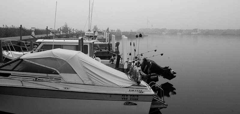 _MG_8801