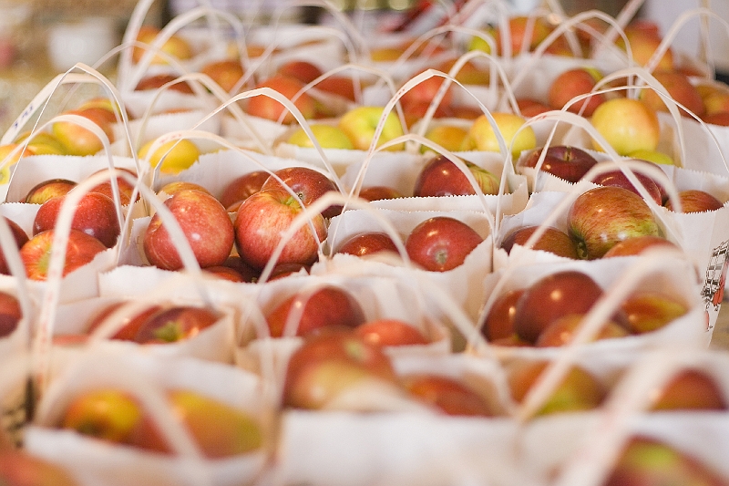 _MG_8911